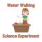 Try This Water Walking Science Experiment :)