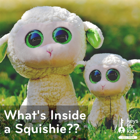 What's INSIDE a SQUISHY?