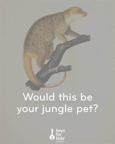 If You Lived in the Jungle, THIS Might Be Your Pet!
