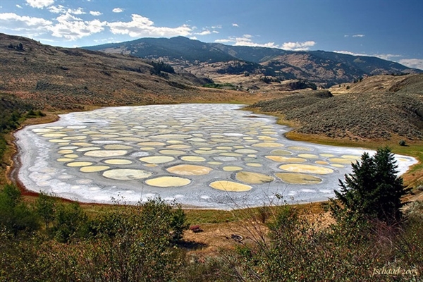 A Spotted Lake?