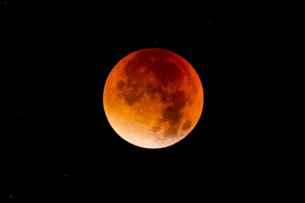 Did You see the Super Blue Blood Moon?