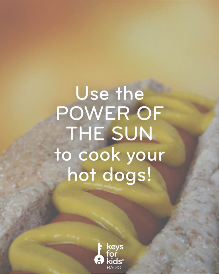 Cook a Hot Dog with the Sun!