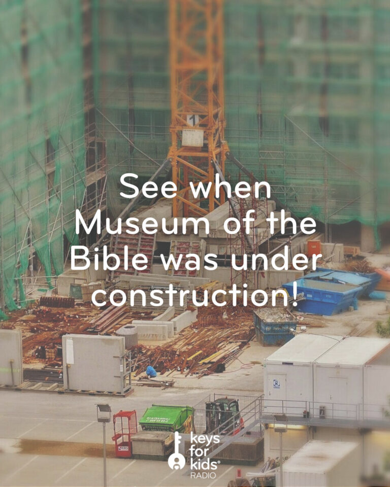 [360 VIDEO] Museum Tour!