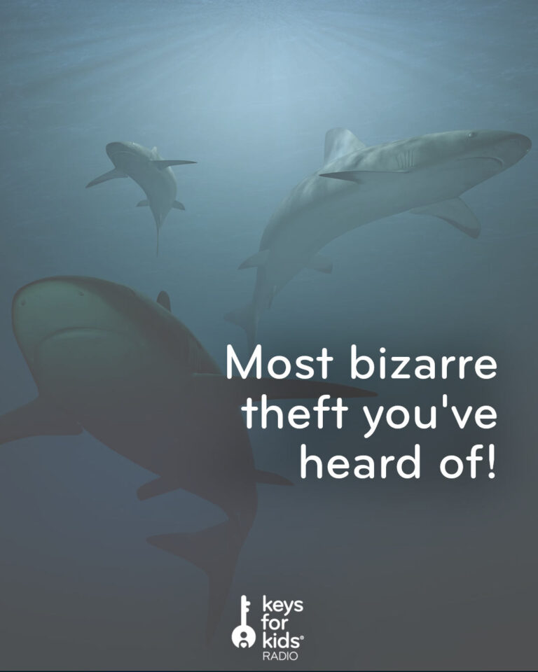 Bizarre: A Stolen Shark?