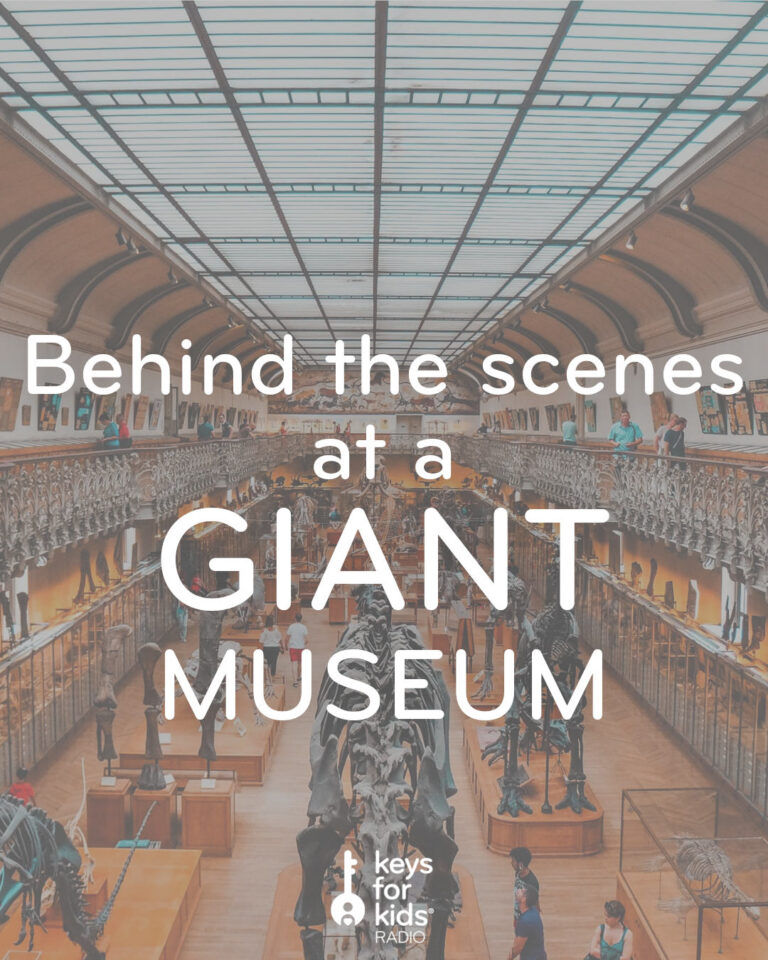 Behind the Scenes of the Biggest Museum in the United States!