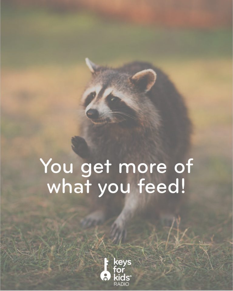 THIS is why you don’t feed wild animals!