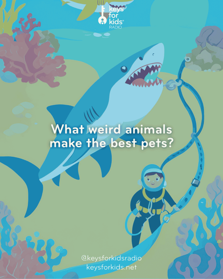 A SHARK for a PET?