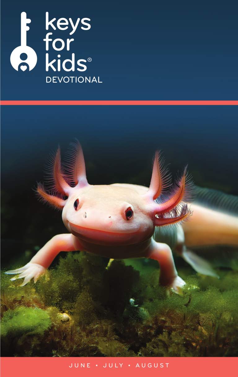 This Unique Fish Can Regrow Body Parts!