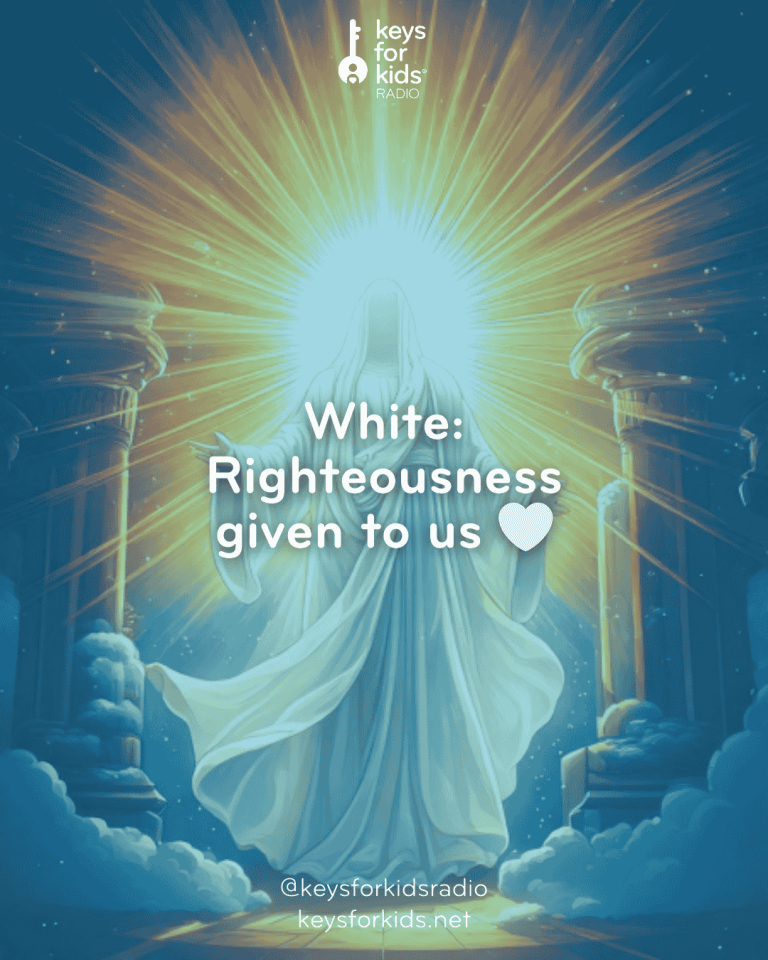 🤍 White – Made Clean and New
