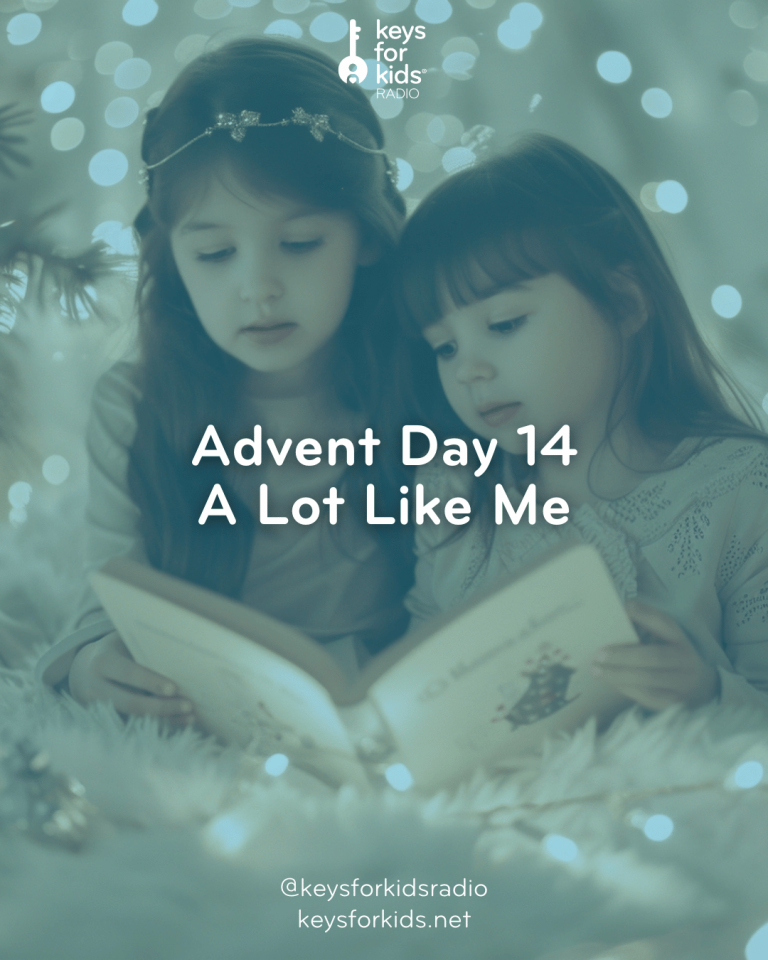 Advent Day 14: A Lot Like Me